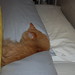 Cindy Palmquist Photo 3