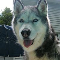 Wayne Yost Photo 14
