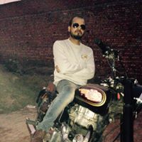 Anshul Rohilla Photo 7