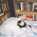 Carol Wilder Photo 15