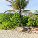 Sandy Dykes Photo 7