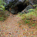 Frederick Cave Photo 3