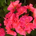 April Bright Photo 12