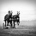 Donald Erickson Photo 7
