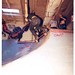 Faye Crews Photo 7