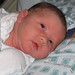 William Costello Photo 12