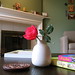 Amy Heath Photo 11
