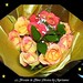 Kristin Rose Photo 11