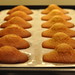 Madeleine Cook Photo 3