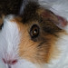 Lucy Dejesus Photo 12
