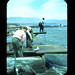 George Staley Photo 11