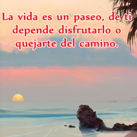 Lorena Portillo Photo 14