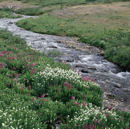 Douglas Sullivan Photo 18