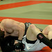 Daniel Galway Photo 7
