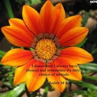 Carrie Kelly Photo 30
