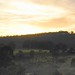 Dawn Hunter Photo 9