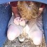 Samuel Short Photo 36