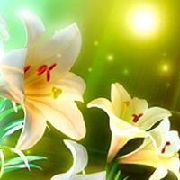 Tusar Patel Photo 5