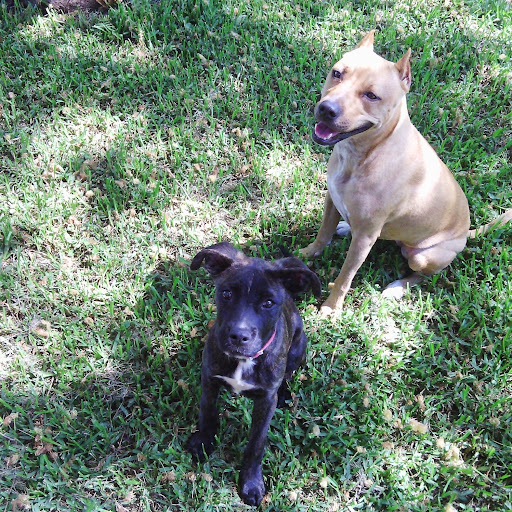 Juanita Roberts Photo 41