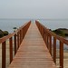 Francisco Goncalves Photo 8