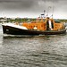 Douglas Currie Photo 7