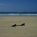 George Lacher Photo 9