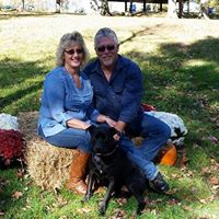 Traci Hamilton Photo 41