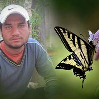 Mohammad Tariq Photo 18