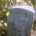Wells Doty Photo 8