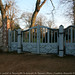 Dan Swann Photo 5