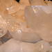 Crystal Coleman Photo 7
