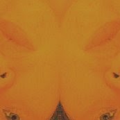 Vicki Bailey Photo 43