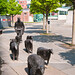 Deborah Shepherd Photo 14