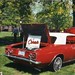 John Curcio Photo 10