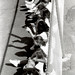 Dennis Devine Photo 8