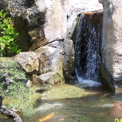 Jeanne Wagner Photo 23