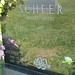 James Scheer Photo 10