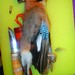 Jay Hunt Photo 9