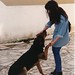 Sandra Quintal Photo 7