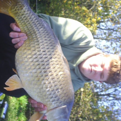 Tommy Lane Photo 14