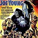 Joe Younger Photo 7
