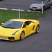 Scott Lambo Photo 7