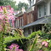 Christopher Chesnut Photo 7