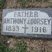 Anthony Dorsey Photo 11