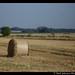 Mark Hay Photo 12