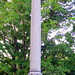 Austin Peay Photo 9