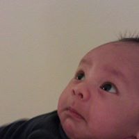 Howard Nguyen Photo 32