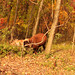 Robert Ebright Photo 5