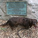 Sharon Link Photo 7