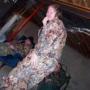 Kevin Rainwater Photo 18